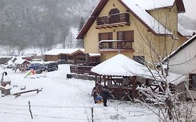 Vila Ianis Bran